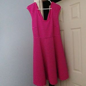 Ashley Stewart Pink and Black Stripe Skater Dress